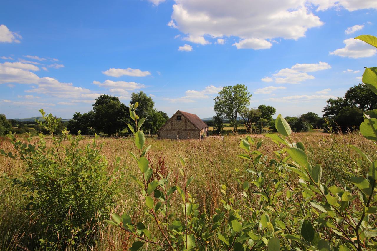 North Cottage - Country Retreat In The Heart Of Sussex -Twineham Luaran gambar